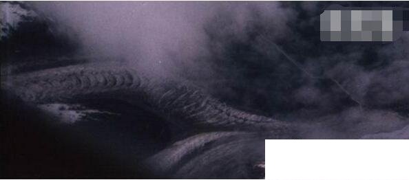 �l���ĵ��������P��